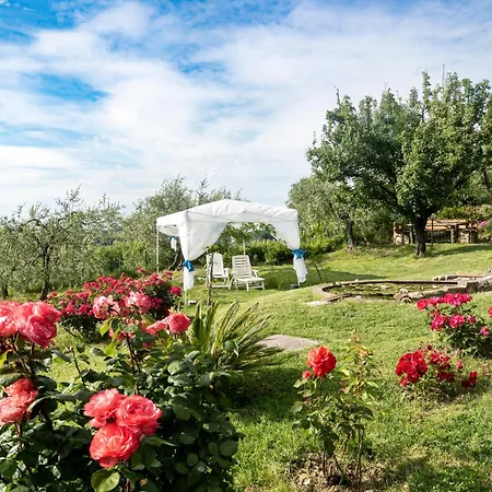 Il Poggetto Bed & Breakfast Montespertoli