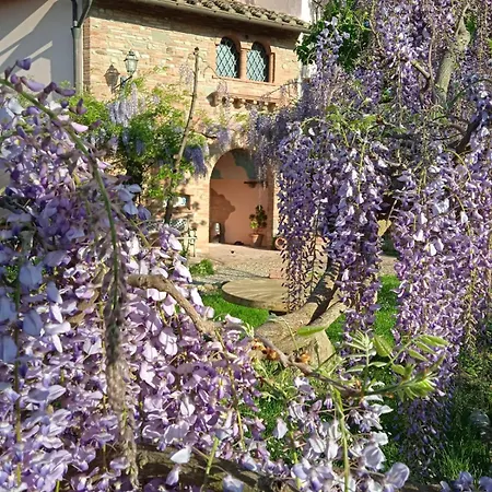 Il Poggetto Bed & Breakfast Montespertoli
